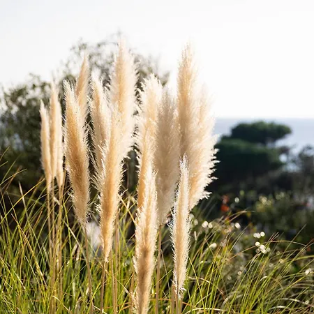 Villa Dimora Caterina - Exclusive With Sea View
