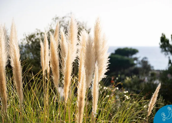 Villa Dimora Caterina - Exclusive With Sea View